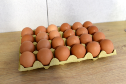 eggs 2