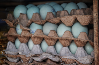 eggs 3